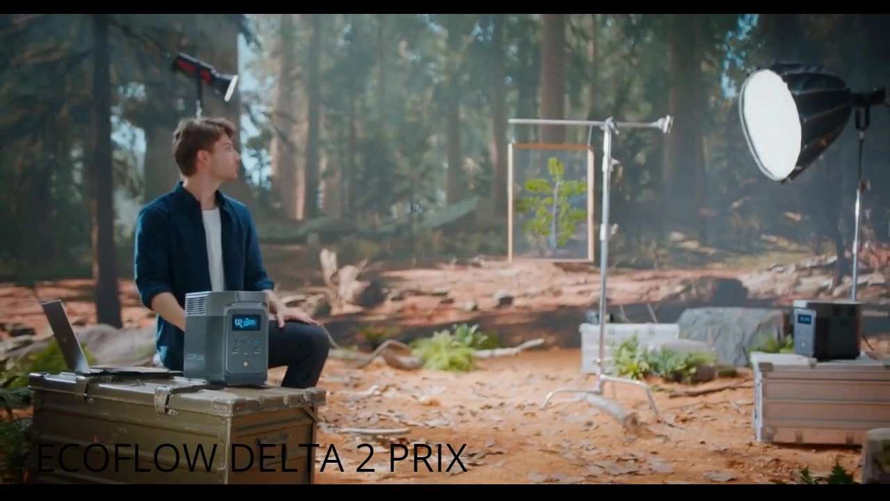 Ecoflow Delta 2 Ça Veut Dire Quoi?